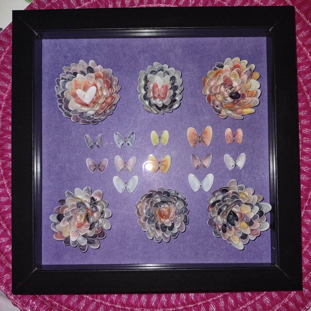 8" x 8" Coquina Shell flower butterfly craft picture - Picture 2 of 2